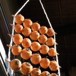 RIMG0281