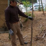 2012_0519竹のシントメ0018
