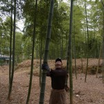 2012_0519竹のシントメ0030