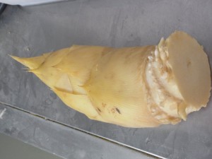 RIMG0065