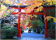 大原野神社